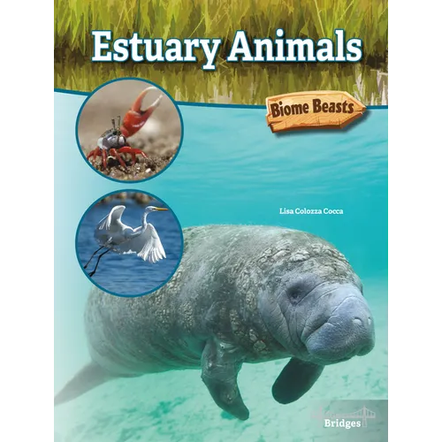 Estuary Animals