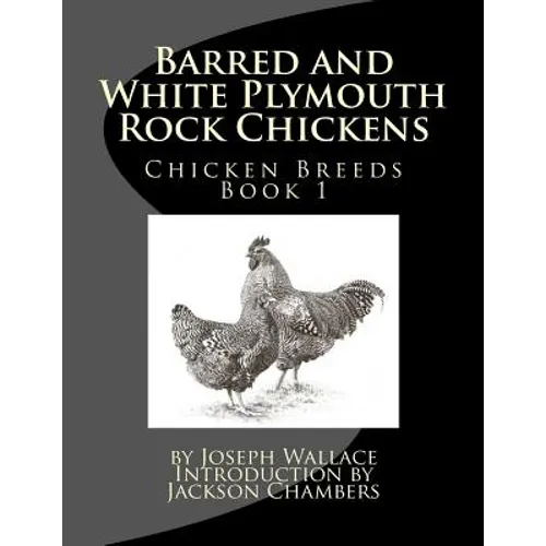 Barred and White Plymouth Rock Chickens
