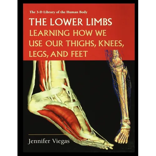 The Lower Limbs: Learning How We Use Our Thighs, Knees, Legs, and Feet