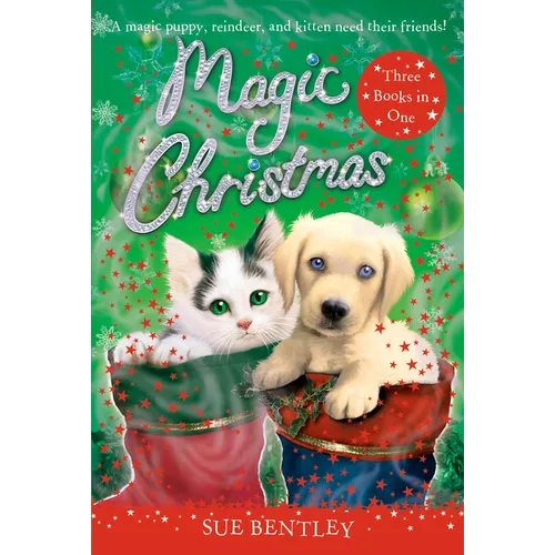 Magic Christmas