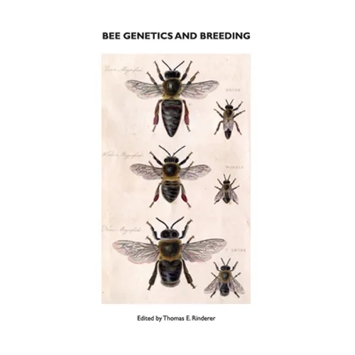 Bee Genetics and Breeding
