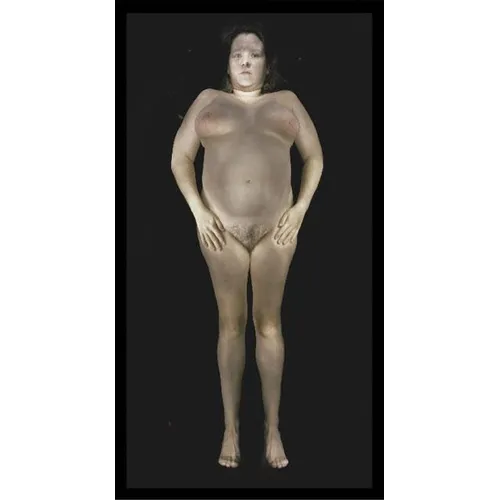 Gary Schneider: Nudes