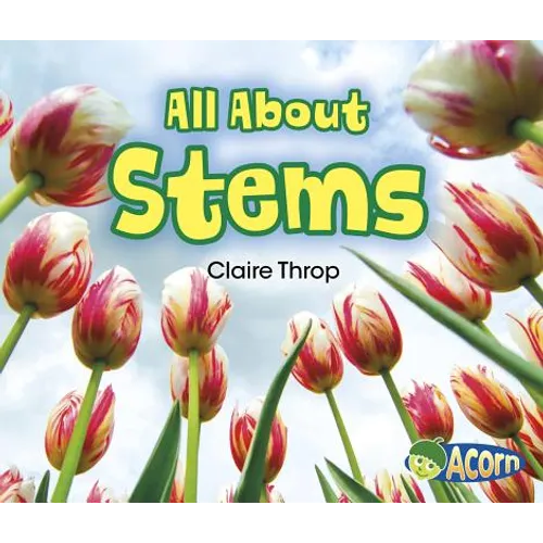 All about Stems