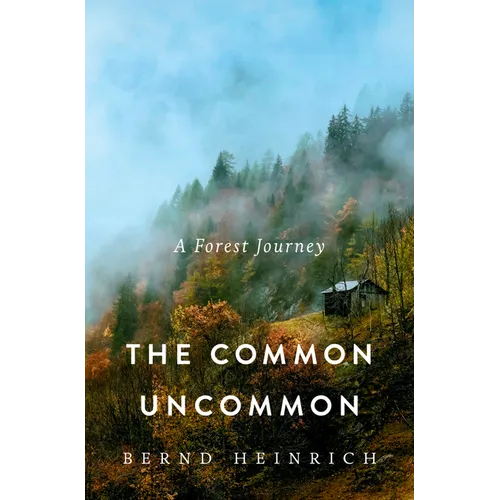 The Common Uncommon: A Forest Journey