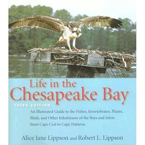 Life in the Chesapeake Bay