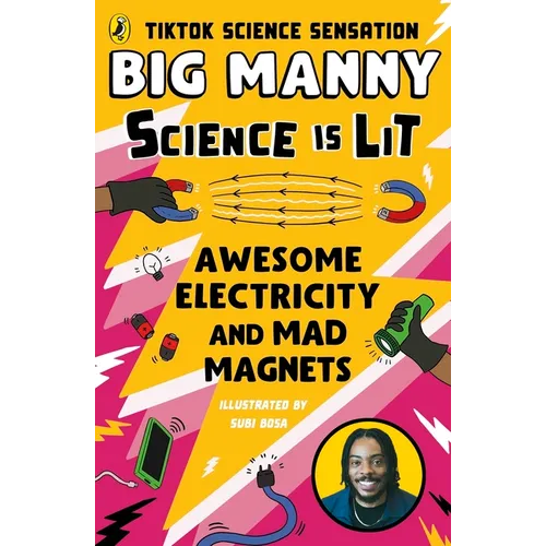 Awesome Electricity and Mad Magnets
