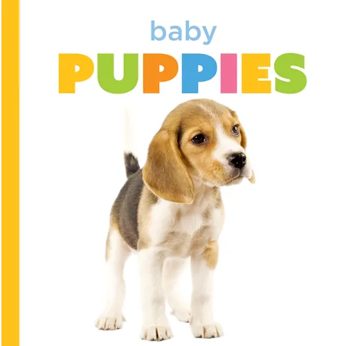 Baby Puppies