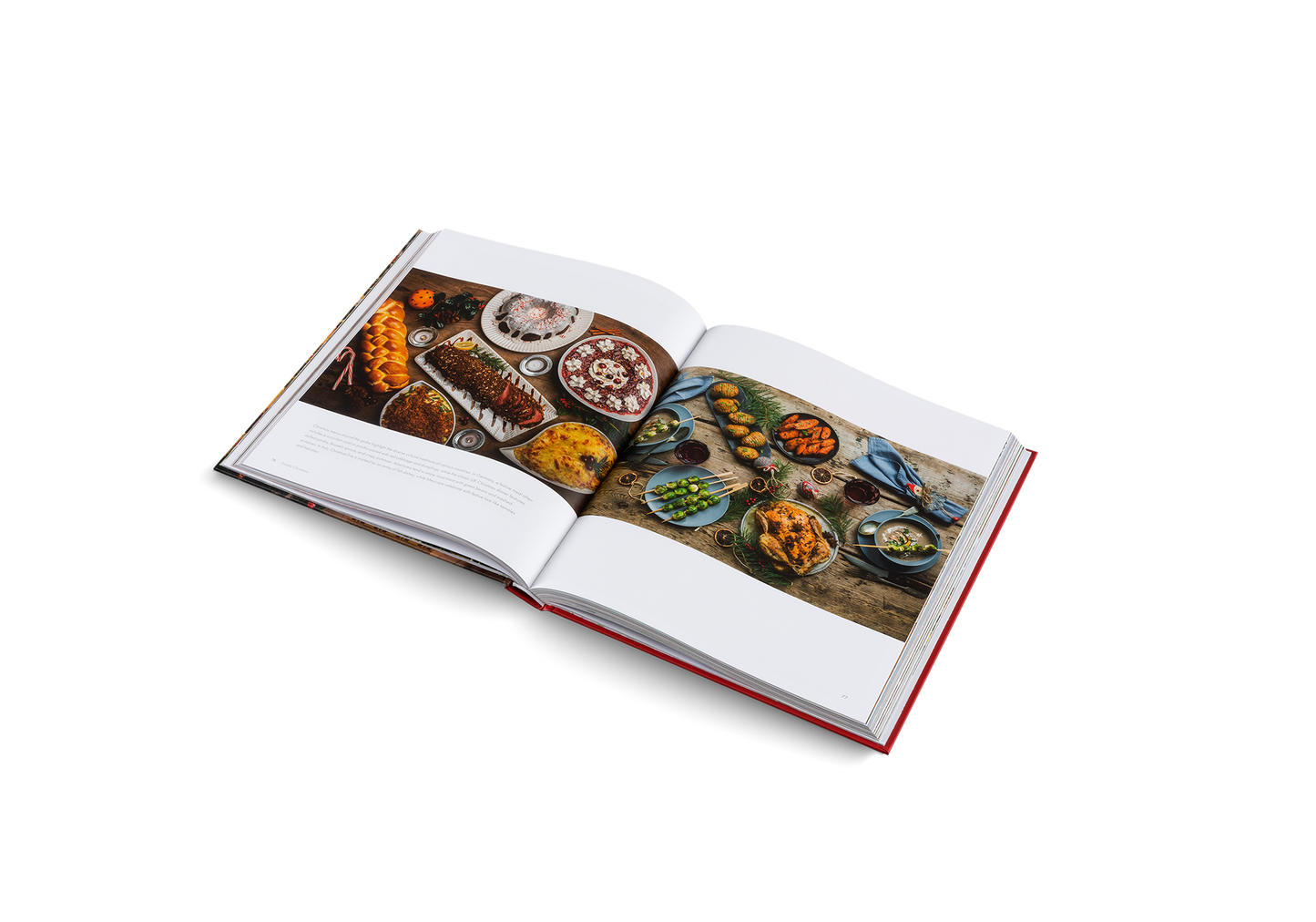 Home for Christmas Book