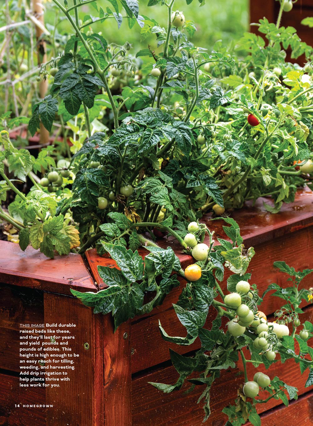 Homegrown - Grow Your Own: Get Inspired By Today's Modern Homesteaders, Plant A Garden Filled With Flavor-Packed Vegetables & Herbs, Canning Basics, Mix & Match Edibles With Flowers & More!