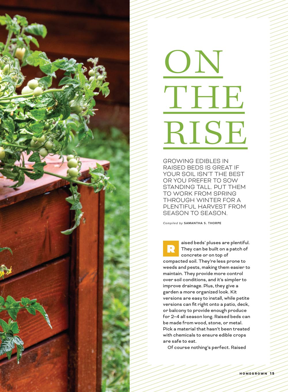 Homegrown - Grow Your Own: Get Inspired By Today's Modern Homesteaders, Plant A Garden Filled With Flavor-Packed Vegetables & Herbs, Canning Basics, Mix & Match Edibles With Flowers & More!