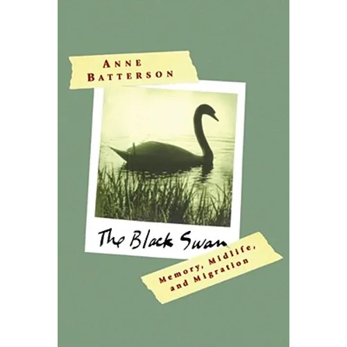 The Black Swan: Memory, Midlife, and Migration