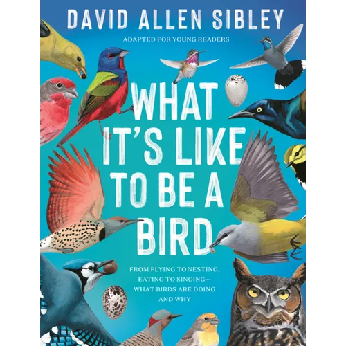What's It Like to Be a Bird: From Flying to Nesting, Eating to Singing--What Birds Are Doing, and Why