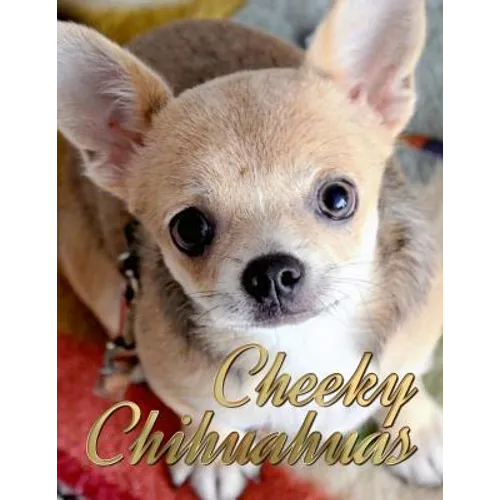 Cheeky Chihuahuas