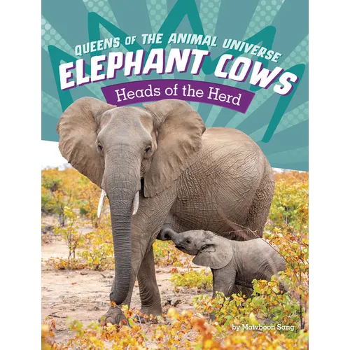Elephant Cows: Heads of the Herd