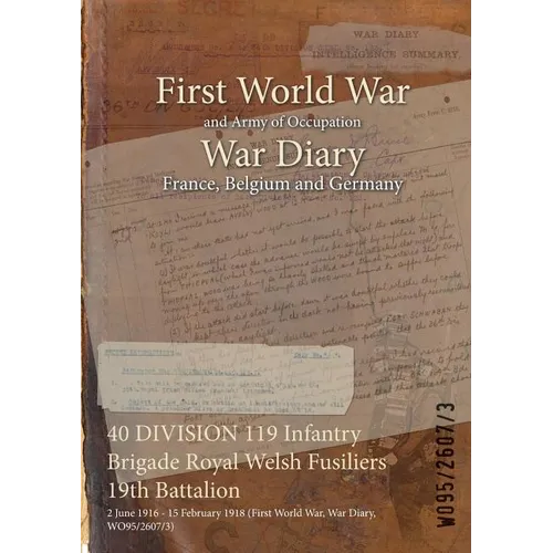 40 DIVISION 119 Infantry Brigade Royal Welsh Fusiliers 19th Battalion: 2 June 1916 - 15 February 1918 (First World War, War Diary, WO95/2607/3)