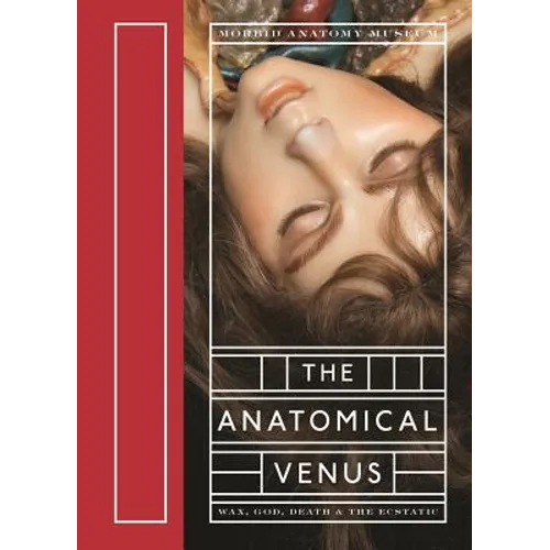 The Anatomical Venus: Wax, God, Death & the Ecstatic