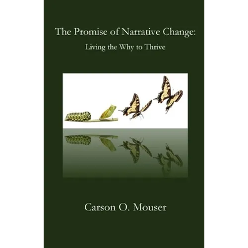 The Promise of Narrative Change