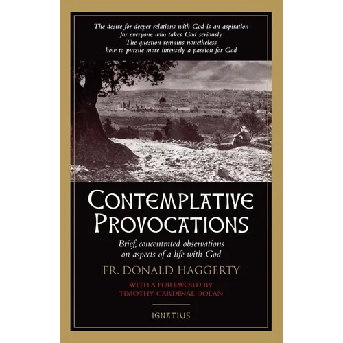 Contemplative Provocations: Brief, Concentrated Observations on Aspects of a Life with God
