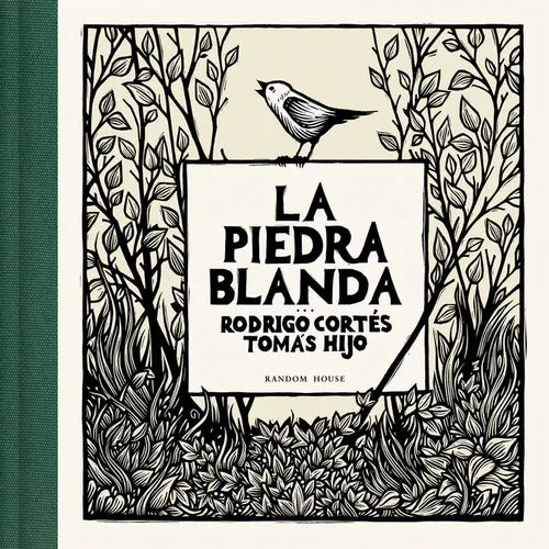 La Piedra Blanda / The Soft Stone