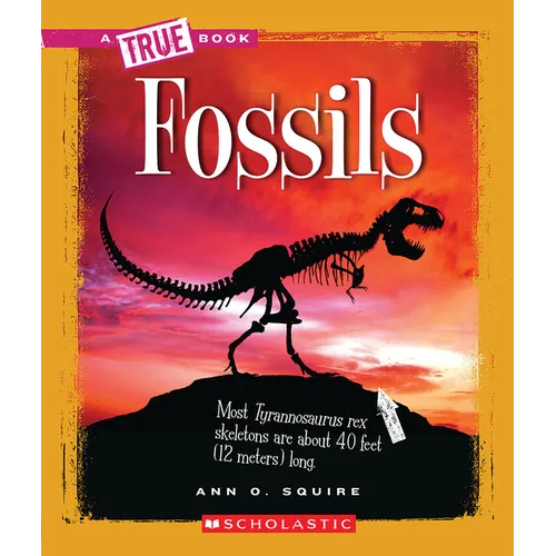 Fossils (a True Book: Earth Science)