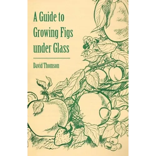 A Guide to Growing Figs Under Glass