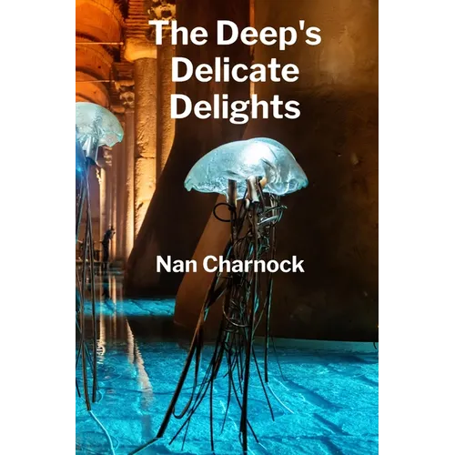 The Deep's Delicate Delights: Ocean Floor Petrology, Mapping Sub-Sea Structures and Hydrothermal Processes