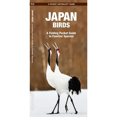 Japan Birds: A Folding Pocket Guide to Familiar Species