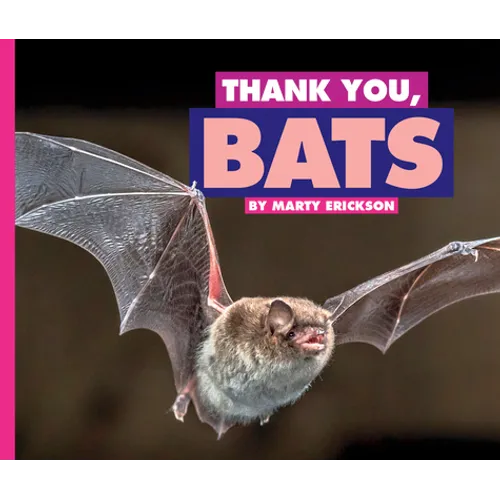 Thank You, Bats