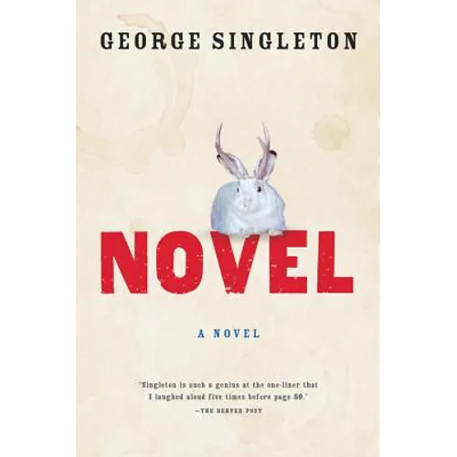 Novel