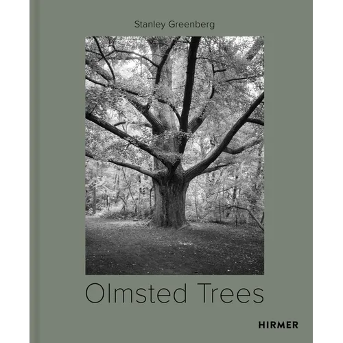 Olmsted Trees: Stanley Greenberg