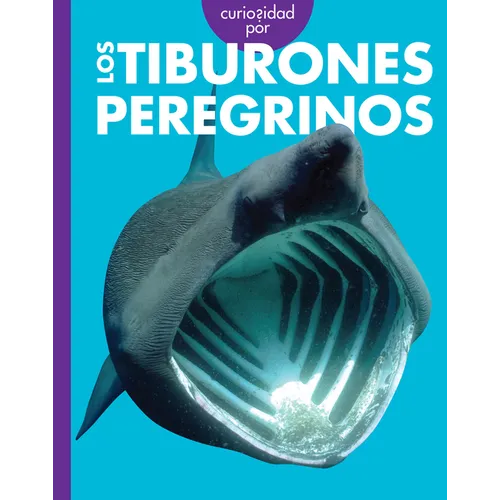 Curiosidad Por Los Tiburones Peregrinos