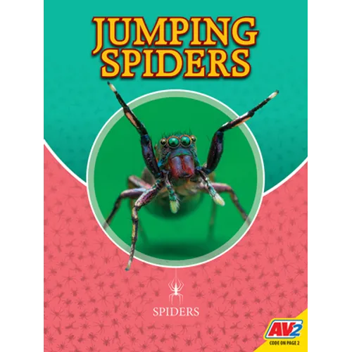 Jumping Spiders