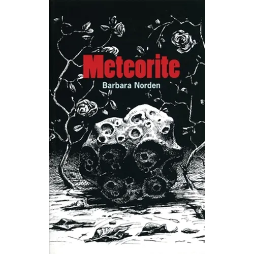 Meteorite