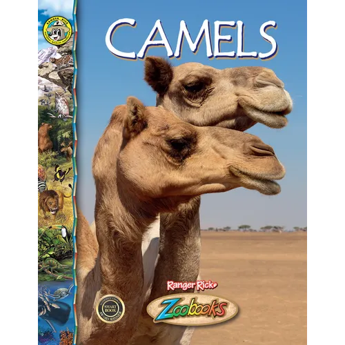 Camels