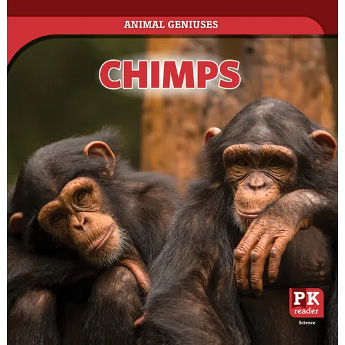 Chimps