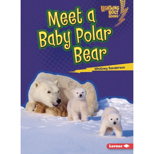 Meet a Baby Polar Bear