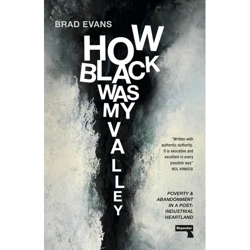 How Black Was My Valley: Poverty and Abandonment in Post-Industrial Wales