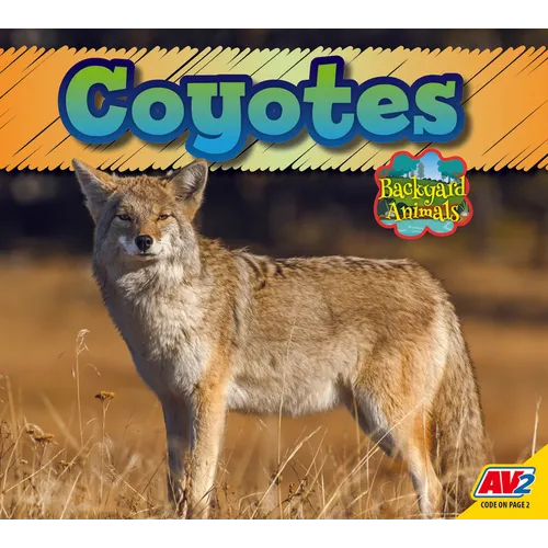 Coyote