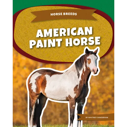 American Paint Horse