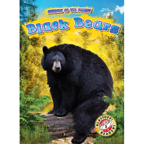 Black Bears