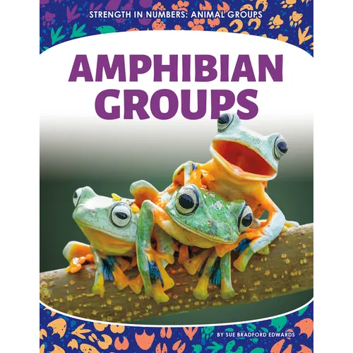Amphibian Groups
