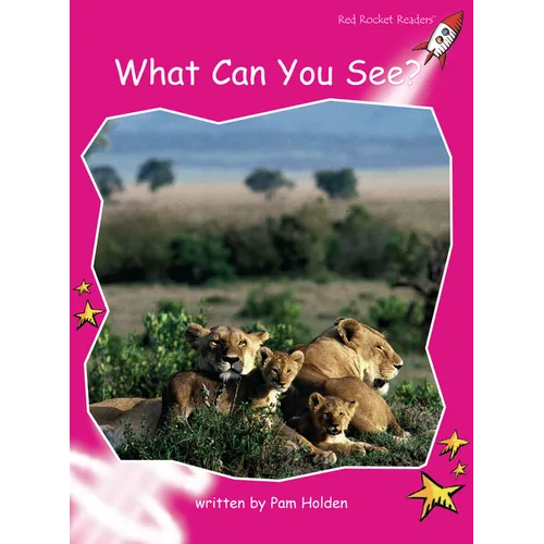 What Can You See?