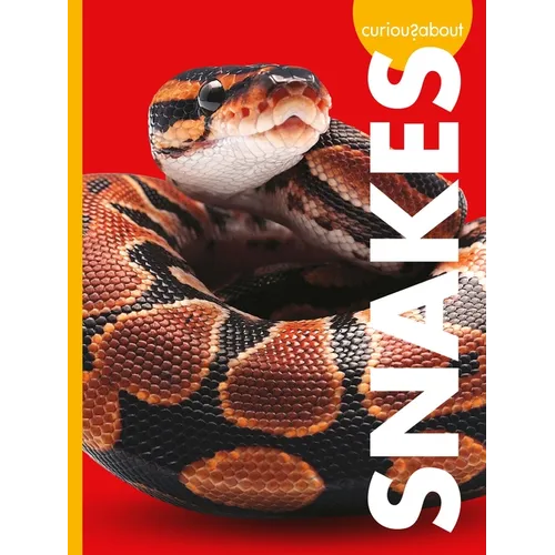 Curious about Snakes