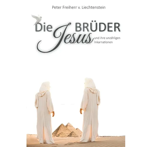 Die Jesusbrüder: und ihre unzähligen Inkarnationen