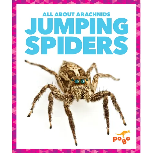 Jumping Spiders