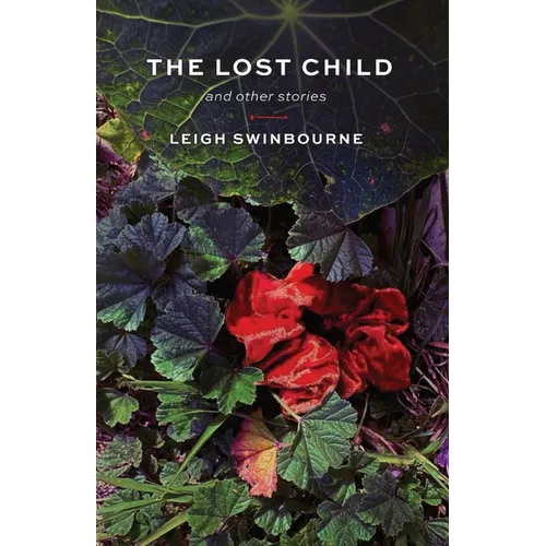 The Lost Child: and other stories