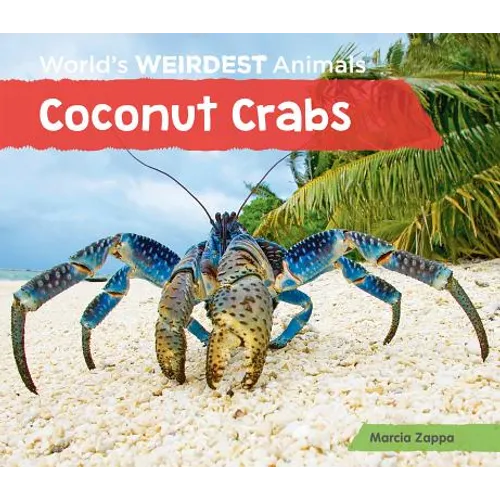 Coconut Crabs