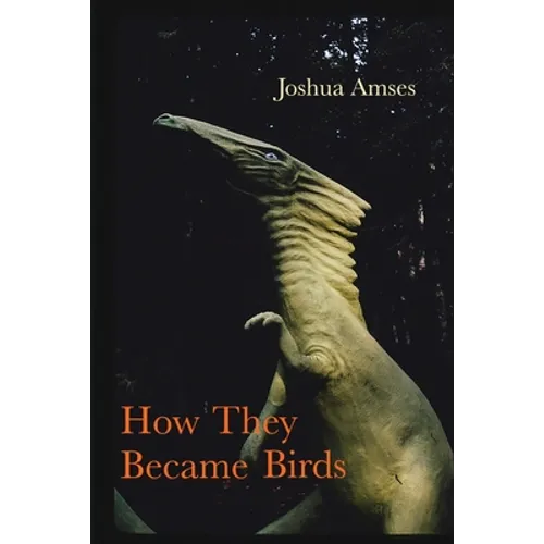 How They Became Birds