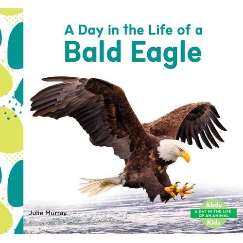 Day in the Life of a Bald Eagle