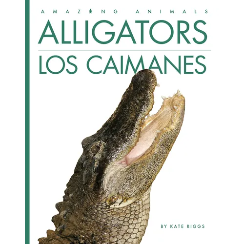 Alligators / Los Caimanes